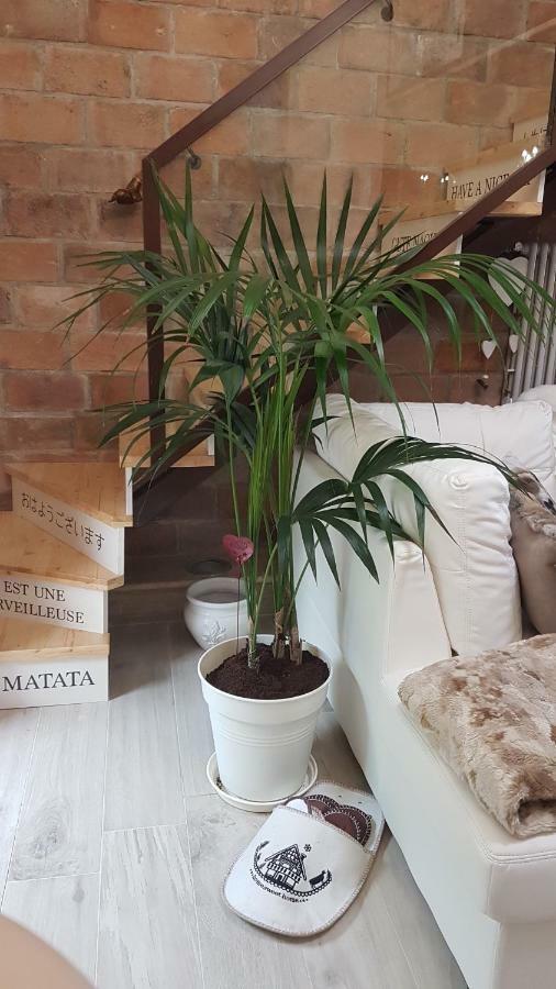Apartament Loft Giuly Vignanello Zewnętrze zdjęcie
